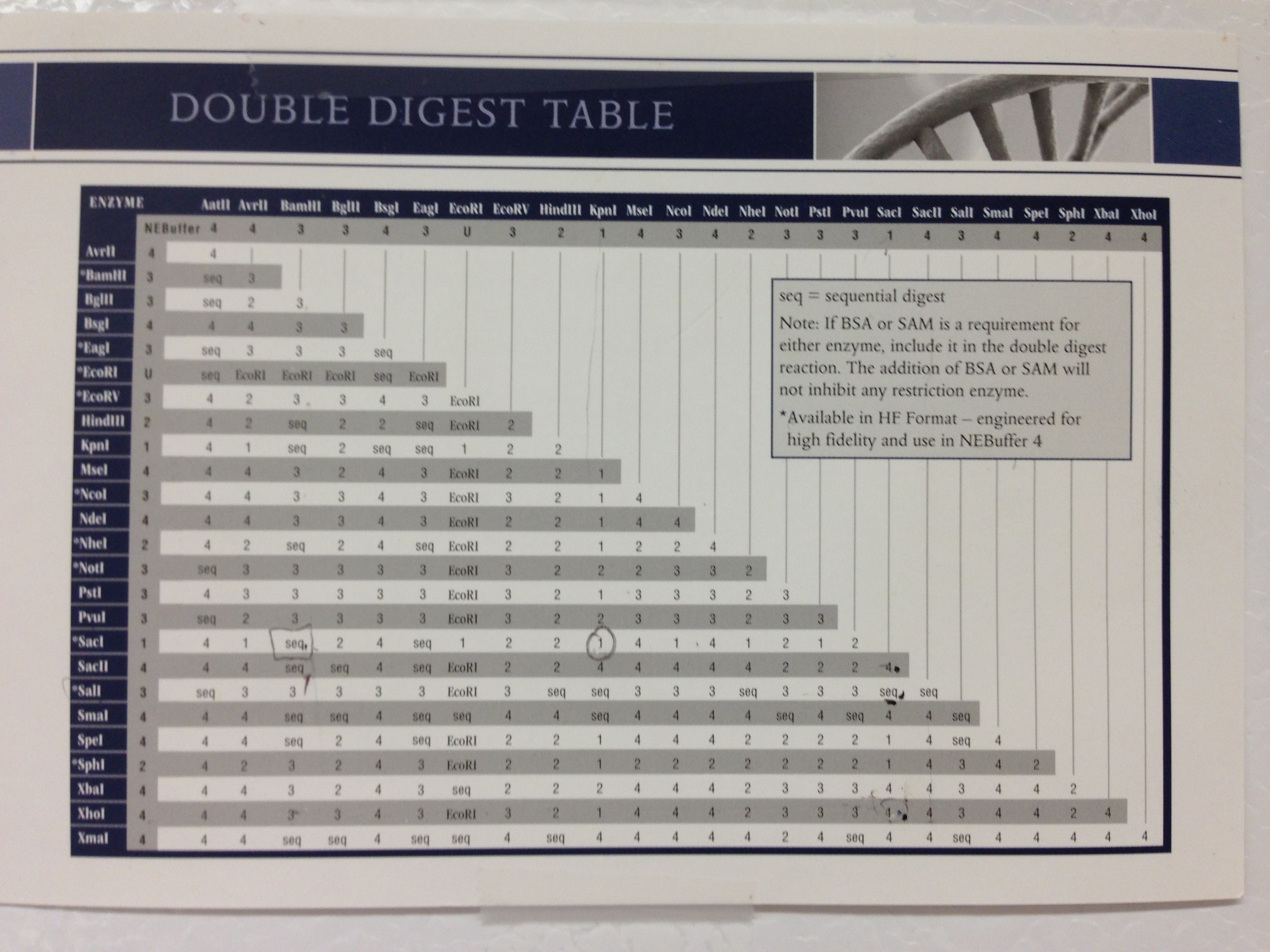 Double Digestion Chart